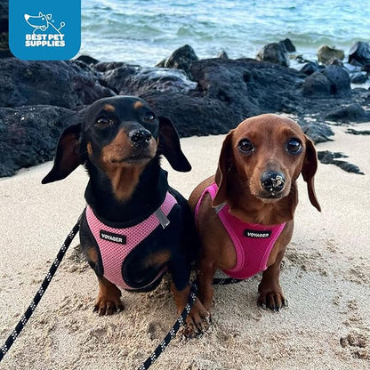 Voyager Step-in Air Dog Harness - All Weather Mesh, Reflective, No Pull Harness for Small, Medium Dogs, Cats - Secure with Hook & Loop Fastener, Buckle, Double D-Rings - Fuchsia, XL