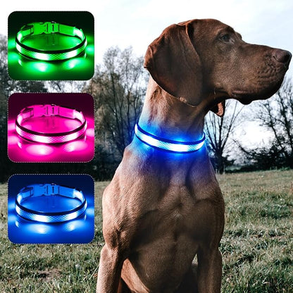 BSEEN Light Up Dog Collar - LED Dog Collar Rechargeable, Adjustable Reflective Dog Collar, Glow in The Dark Dog Camping Gear Dog Lights for Night Walking (Large Collar, Royal Blue)
