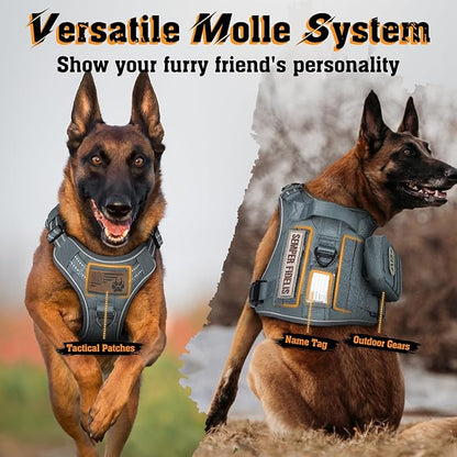 rabbitgoo Dog Harness Medium Sized No Pull, Tactical Service Dog Vest with Molle and Control Handle, Adjustable and Reflective Military Pet Harness for Easy Walking and Training, Grey, M