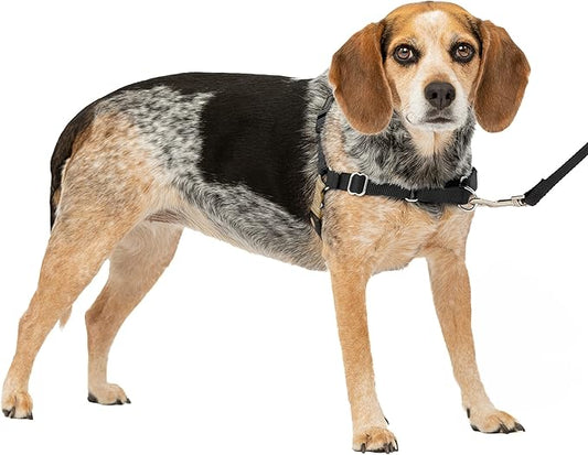 PetSafe Easy Walk No-Pull Dog Harness - The Ultimate Harness to Help Stop Pulling - Take Control & Teach Better Leash Manners - Helps Prevent Pets Pulling on Walks, Small/Medium, Black/Silver