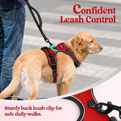 rabbitgoo Dog Harness, No-Pull Pet Harness with 2 Leash Clips, Adjustable Soft Padded Dog Vest, Reflective No-Choke Pet Oxford Vest with Easy Control Handle for Small Dogs, Red, S