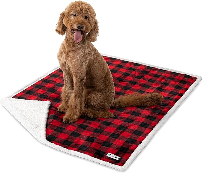 PetAmi WATERPROOF Dog Blanket for Medium Large Dog, Pet Puppy Blanket Couch Cover Protection, Fleece Cat Blanket Washable Throw, Couch Sofa Bed Furniture Protector Reversible Soft 60x40 Checker Red