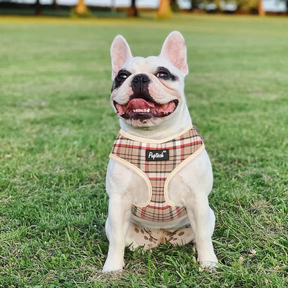 PUPTECK Soft Mesh Dog Harness and Leash Set Pet Puppy Cat Comfort Padded Vest No Pull Harnesses, Khaki, M