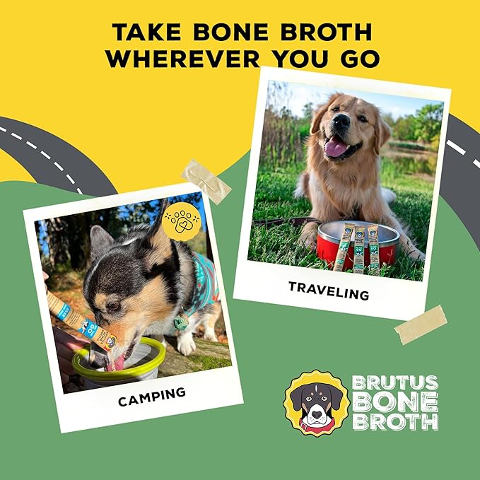 Brutus Bone Broth for Dogs - Bone Broth Powder with Chondroitin Glucosamine & Turmeric - Human Grade Dog Food Toppers for Dry Food & Picky Eaters - 5 Stick (Chicken)