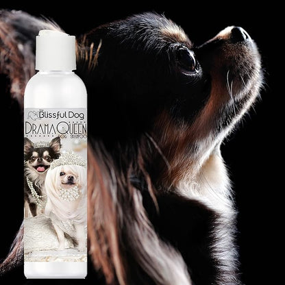 The Blissful Dog Chihuahua Drama Queen Dog Shampoo, 8 oz.