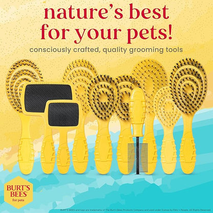 Burt’s Bees for Pets Porcupine Bristle Brush for Puppies and Small Dogs with Handle Made from Recycled Plastics Collected from Coastal Communities | Flex-head Grooming Brush for Dogs