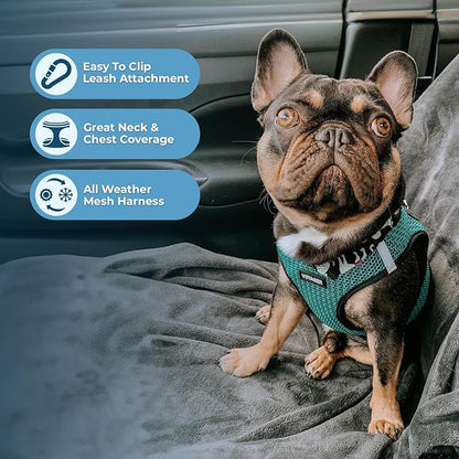 Voyager Step-in Air Dog Harness - All Weather Mesh, Reflective, No Pull Harness for Small, Medium Dogs, Cats - Secure with Hook & Loop Fastener, Buckle, Double D-Rings - Turquoise 2-Tone, S
