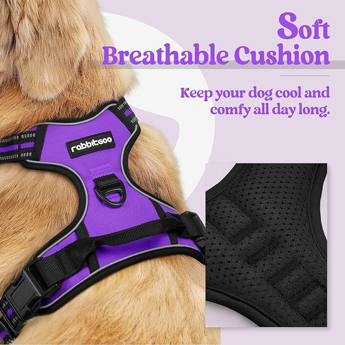 rabbitgoo Dog Harness, No-Pull Pet Harness with 2 Leash Clips, Adjustable Soft Padded Dog Vest, Reflective No-Choke Pet Oxford Vest with Easy Control Handle for Small Dogs, Purple, S