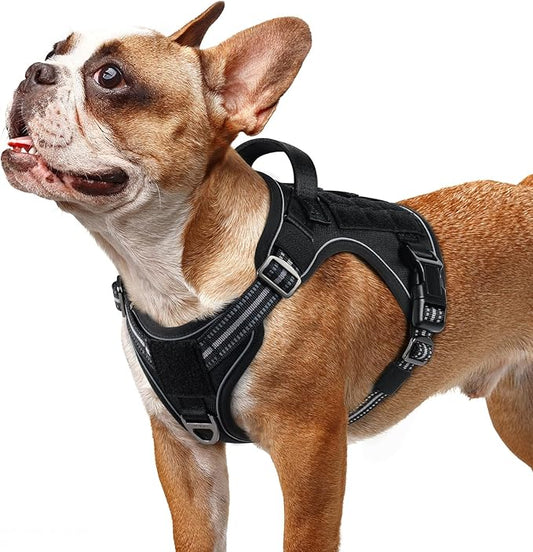 rabbitgoo Dog Harness Small Sized No Pull, Tactical Service Dog Vest with Molle and Control Handle, Adjustable and Reflective Military Pet Harness for Easy Walking and Training, Black, S