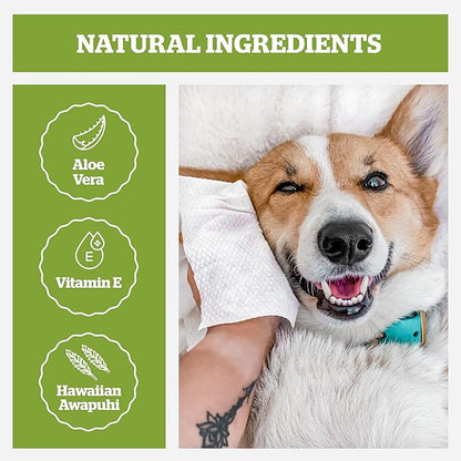 Pogi’s Dog Grooming Wipes – Hypoallergenic Pet Wipes for Paws, Body & Butt – Cleaning & Hydrating, Fragrance Free, 100-Count
