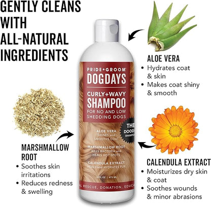 Pride and Groom DogDays Curly + Wavy Grooming Shampoo | Tearless, All-Natural Shampoo for No and Low Shedding Dogs | Moisturizing Formula for Soft, Shiny, & Healthy Fur – 16 oz