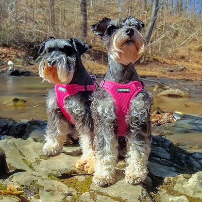 Best Pet Supplies Voyager Adjustable Dog Harness Leash Set with Reflective Stripes for Walking Heavy-Duty Full Body No Pull Vest with Leash D-Ring, Breathable All-Weather - Harness (Fuchsia), XL