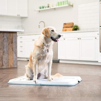 Bundle of IRIS USA Pee Pad Holder, XL Dog Pad Holder with Secured Latches, Non-Skid Feet, Leak Protection + IRIS USA 8-Panel 36" Metal Dog Playpen, Indoor/Outdoor, Foldable, Black