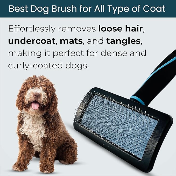 Pet Slicker Brush (Medium Size, Black) for Grooming Pet Hair with Fluff Detangle Style – Dog Brush for Long & Short Haired Dogs for Goldendoodles – Curved Pin for – Removes Tangles & Loose Fur