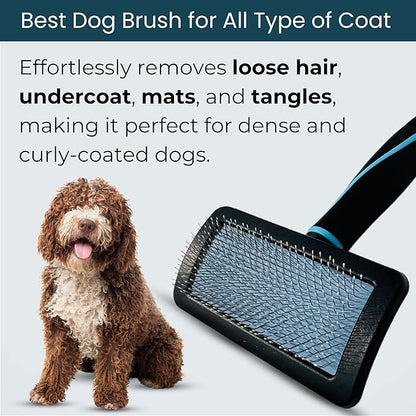 Pet Slicker Brush (Medium Size, Black) for Grooming Pet Hair with Fluff Detangle Style – Dog Brush for Long & Short Haired Dogs for Goldendoodles – Curved Pin for – Removes Tangles & Loose Fur