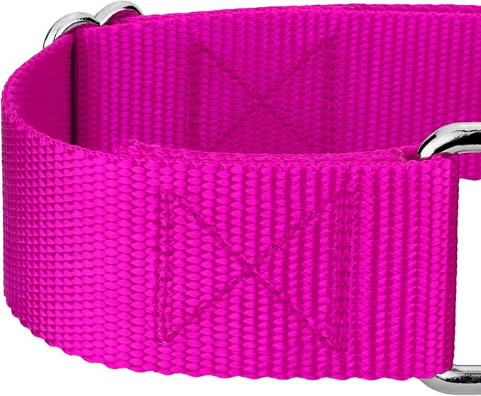 Country Brook Petz 1 1/2 Inch Martingale Heavy Duty Nylon Adjustable Dog Collar for Small, Medium, Large Breeds - Vibrant 17 Color Selection (Fuchsia, Medium)
