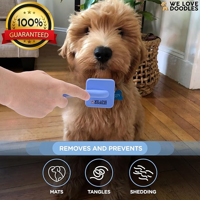 We Love Doodles Dog Slicker Brush for Grooming Pet Hair - Best Brushes For Poodle & Golden Doodle - Long Haired Brush For Dogs - Goldendoodle Long Pin Brush For Dematting (Extra Small)