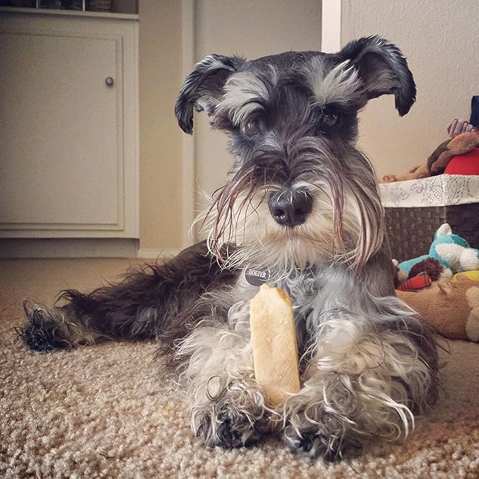EcoKind Himalayan Gold Yak Cheese Dog Chew for Small Dogs, Healthy Dog Treats, Odorless, Long Lasting Dog Bones for Dogs, Rawhide Free, Made in The Himalayans, Small (Pack of 8)