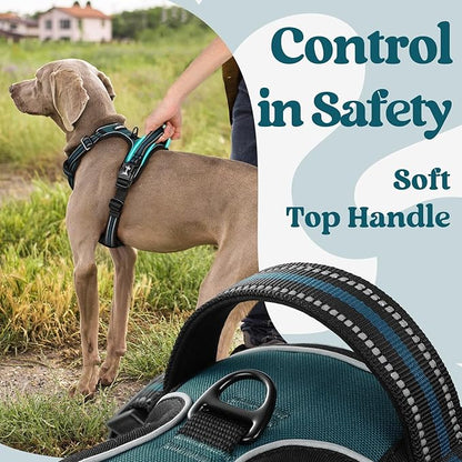 rabbitgoo Dog Harness Small Sized, No Pull Pet Harness with 3 Buckles, Adjustable Soft Padded Dog Vest with Instant Control Handle, Easy Walking Reflective Pet Vest for Small Dogs, Blue Coral, S