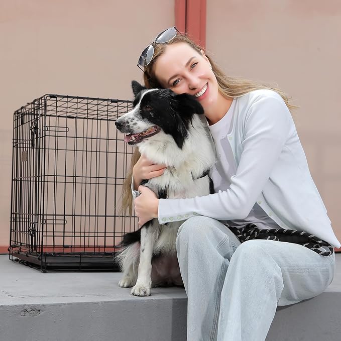Fold & Carry 1-Door Folding Dog Crate (Med/L: 36-in L x 23-in W x 25-in H)