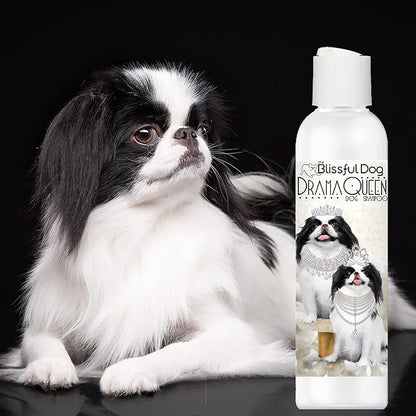 The Blissful Dog Japanese Chin Drama Queen Dog Shampoo, 16 oz.