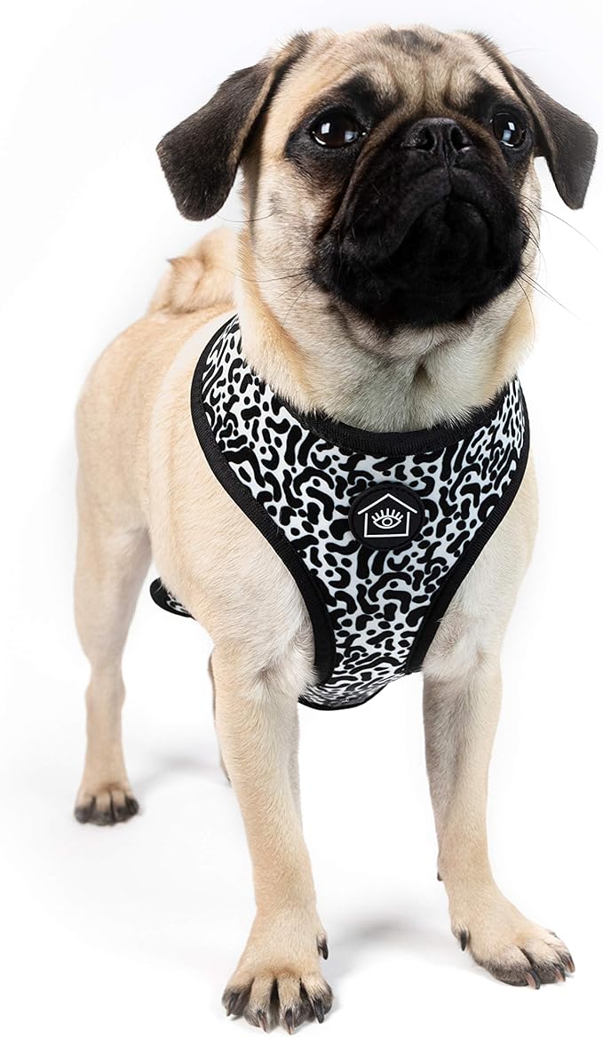 Now House for Pets by Jonathan Adler Leo Reversible Harness, Medium | Stylish, Fashionable, and Functional Way to Keep Your Dog Looking Great | Cute and Adorable Dog Accessories for Pets