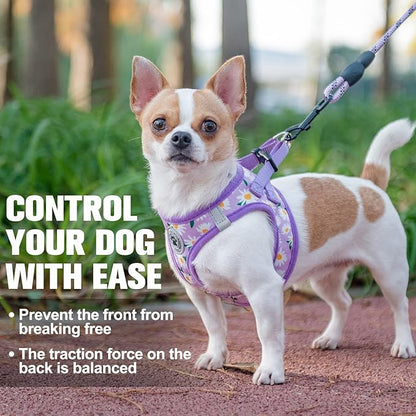 BEAUTYZOO Step in Dog Harness and Leash Set,Floral Pattern Reflective Dog Harness No Pull No Choke Puppy Harness for Small Medium Large Dogs Cats,Soft Padded Mesh Vest Harnesses for Girl and Boy Pets