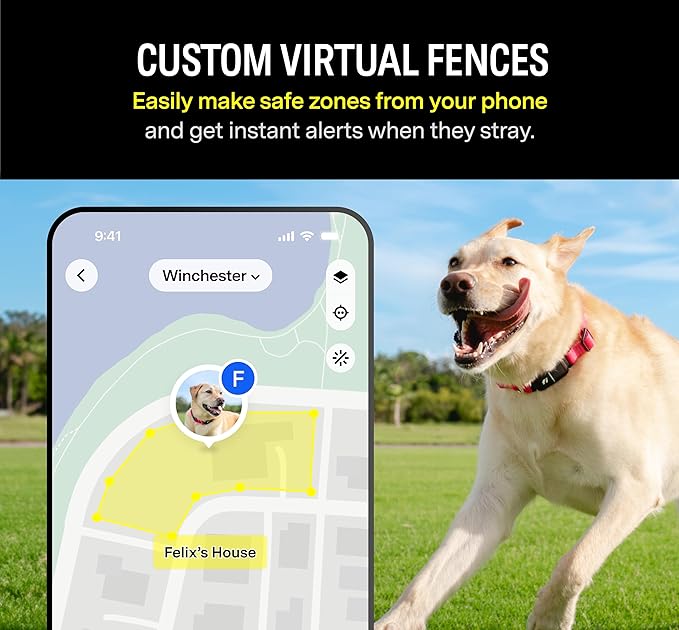 Fi Series 3 Smart Dog Collar - GPS Dog Tracker and Activity & Health Monitor, Waterproof, LED Light, Escape Alerts, Nationwide Coverage [Free 1 Year Membership] (Pink, Small)