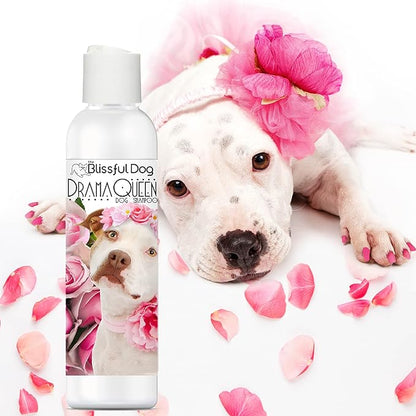 The Blissful Dog Staffordshire Terrier Drama Queen Dog Shampoo, 4 oz.