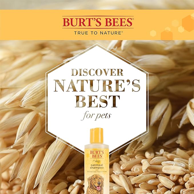 Burt's Bees for Pets Naturally Derived Oatmeal Shampoo with Colloidal Oat Flour and Honey - Oatmeal Dog Shampoo to Soothe and Cleanse Dogs Skin and Coats, 4 Fl Oz