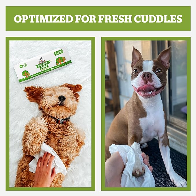 Pogi’s Dog Grooming Wipes – Hypoallergenic Pet Wipes for Paws, Body & Butt – Cleaning & Hydrating, Green Tea Scent, 400-Count