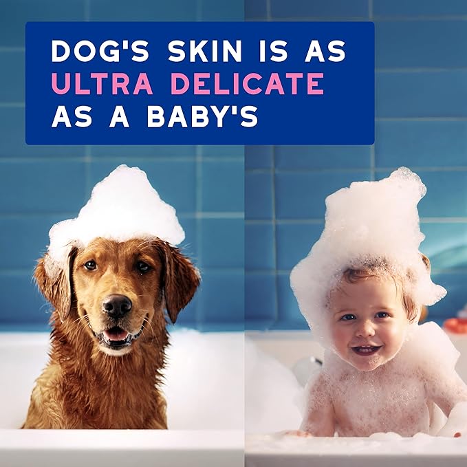 DOUXO® Skin & Coat SPA - Ultra-Safe Dog Shampoo for Itchy Skin, 16 fl oz, Cleans and Soothes The Skin, Enhances The Coat, Leaves The Coat Soft and Radiant, Skin-Friendly Formula