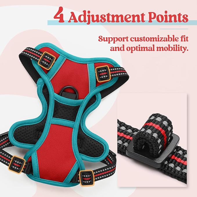 rabbitgoo Dog Harness, No-Pull Pet Harness with 2 Leash Clips, Adjustable Soft Padded Dog Vest, Reflective No-Choke Pet Oxford Vest with Easy Control Handle for Large Dogs, Red & Teal, X-Small
