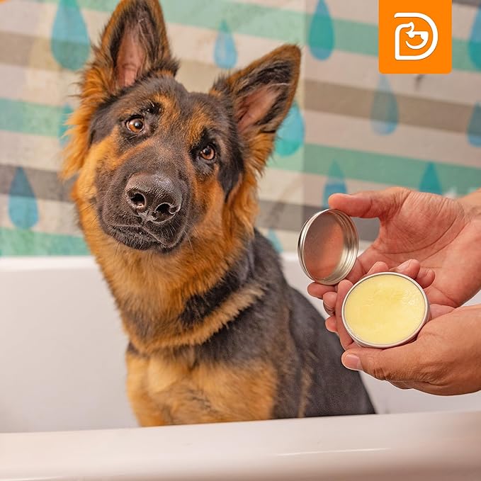 3-in-1 Paw Balm & Deodorizer Spray - Between Baths Bundle for Pets | Moisturizing Balm for Cracked Skin (2oz) & Long-Lasting Piña Colada Odor Eliminator (8oz) for Dogs & Cats