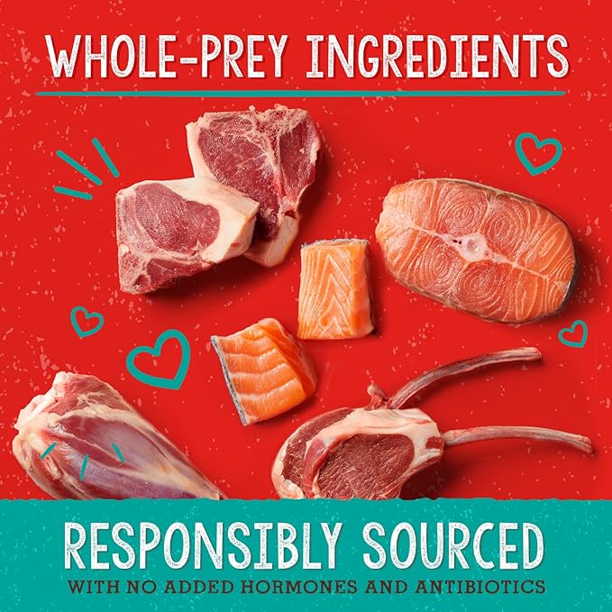 Stella & Chewy's Stella's Solutions Skin & Coat Boost Grass-Fed Lamb & Wild-Caught Salmon Dinner Morsels Freeze-Dried Raw Dog Food, 13 oz.