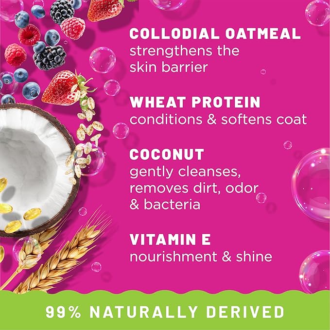 TropiClean Deodorizing Dog Shampoo for Smelly Pets, Long Lasting Odor Control, Puppy Safe, Made in the USA, Berry Scent, Cat Friendly, 20oz.
