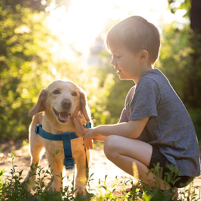 Dog Harness and Leash Set for Medium Dogs Soft Natural Bamboo Fabric, No Pull Dog Harness, Step-in Adjustable Dog Leash, Dog Harness and Leash Set for Medium Dogs-Teal Blue