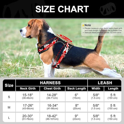 No Pull Dog Harness and Leash Set,Reflective Dog Harness with Easy Control Soft Handle,Adjustable and Comfortable for Easy Walking,Fit Small Medium Large Breed Dogs,Black,M