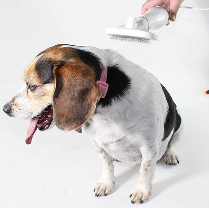 Penn-Plax Quick-Dry 2 in 1 Pet Grooming Tool – Doubles as a Dryer and Slicker Brush with 3 Air/Heat Settings – Safe for All Dogs and Cats