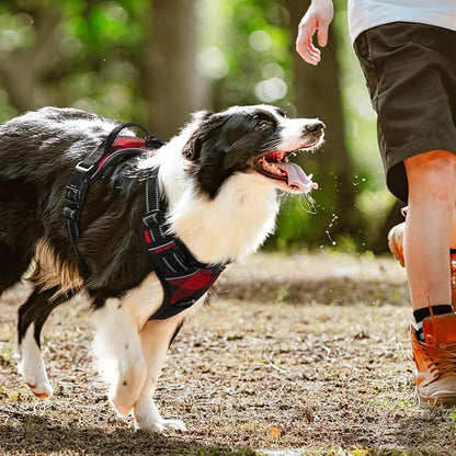 rabbitgoo Dog Harness Small Sized Dog No Pull, Comfortable Padded Plaid Dog Harness with Handle Easy Control, Adjustable Reflective Puppy Pet Harness Vest with 2 Leash Clips, Red Plaid, S