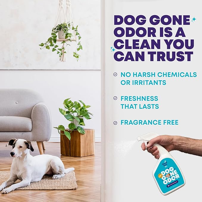 Good Salt Pet Dog Gone Odor, Natural & Fragrance Free Scent Neutralizer Spray, Made in the USA, 32 Ounce Bottle, 2-Pack