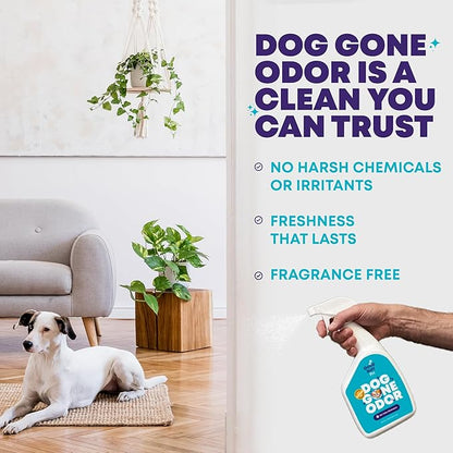 Good Salt Pet Dog Gone Odor, Natural & Fragrance Free Scent Neutralizer Spray, Made in the USA, 32 Ounce Bottle, 2-Pack