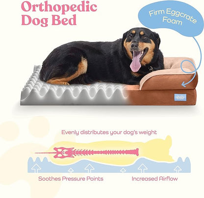 Pitpet Large Dog Bed - Orthopedic Foam, Plush Velvet, Waterproof, Easy Care, Dog-Friendly