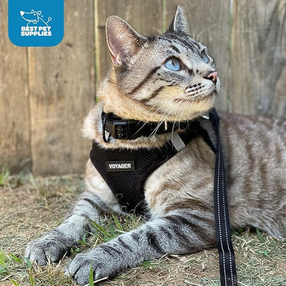 Voyager Step-in Air Dog Harness - All Weather Mesh, Reflective, No Pull Harness for Small, Medium Dogs, Cats - Secure with Hook & Loop Fastener, Buckle, Double D-Rings - Black, XXXS