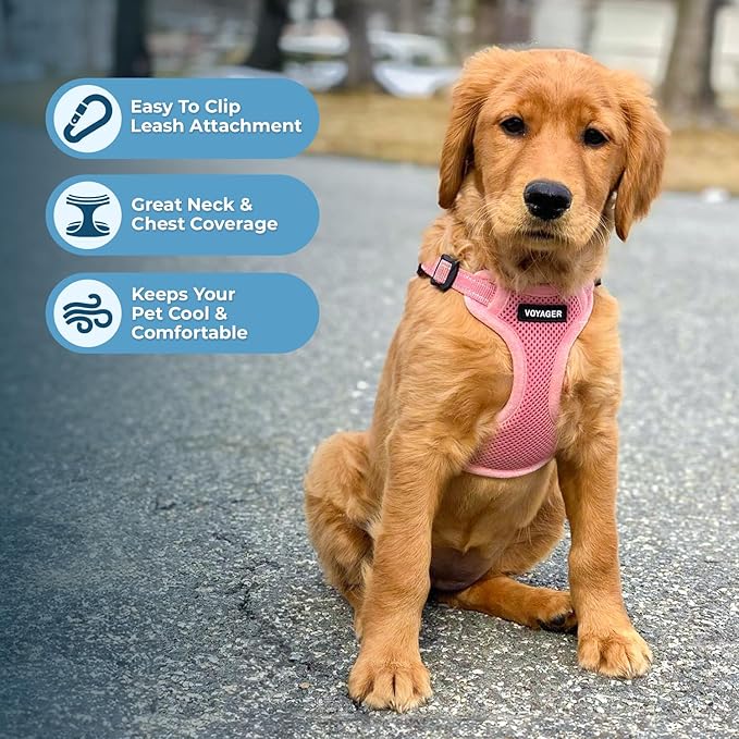 Best Pet Supplies Voyager Adjustable Dog Harness Leash Set with Reflective Stripes for Walking Heavy-Duty Full Body No Pull Vest with Leash D-Ring, Breathable All-Weather - Harness (Pink), S