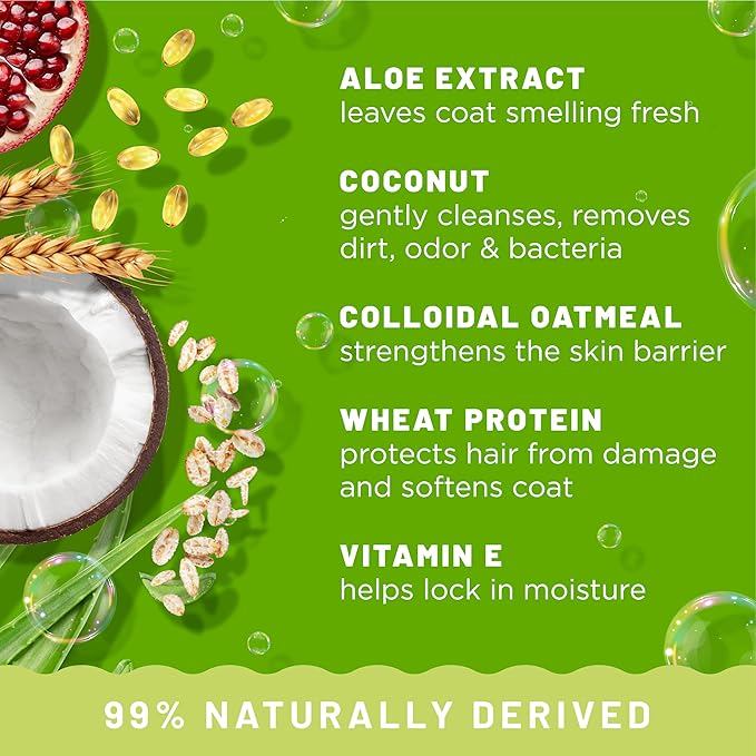 TropiClean Deodorizing Dog Shampoo for Smelly Dogs, Powerful Odor Control, Puppy Safe, Made in the USA, Aloe & Coconut Scent, Cat Friendly, 20oz.