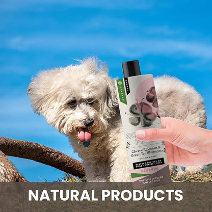 Holistic Natural Derived Cherry Blossom & Green Tea Pet Shampoo: Veterinarian Recommended - Remove Dirt and Condition Your Dog, Cat and Horse Coat - Made in USA - 16 oz