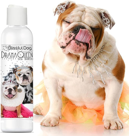The Blissful Dog Bulldog Drama Queen Dog Shampoo, 16 oz.