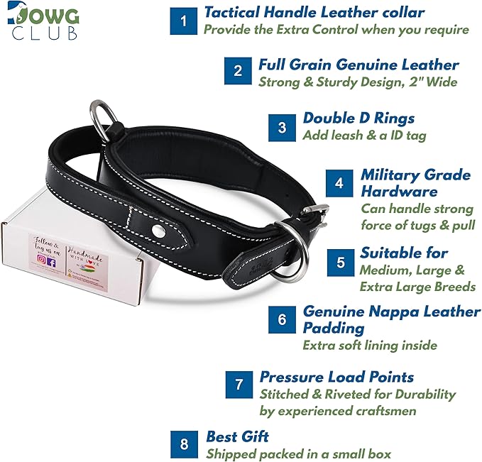 Leather Dog Collar with Handle, 2 Inch Wide Saddle Grade Black Leather Dog Collar for Large Dogs | Heavy Duty, Comfortable, Inner Soft Padded, Strong | (L (Fit Neck Size 18.5"-22.5"), Black)