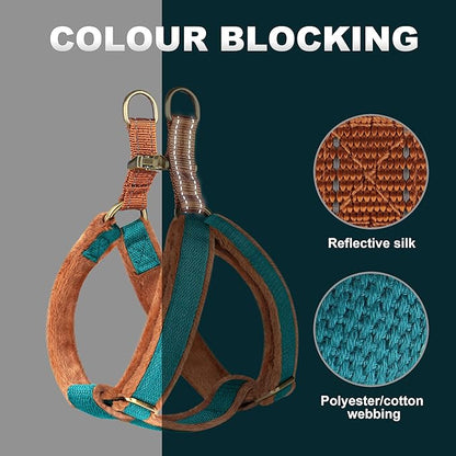 Beirui Soft Medium Dog Harness and Leash Set-Adjustable Step in Dog Harness for Medium Dogs-Easy Walk Dog Harness Medium Sized Dog-Warm No Pull Dog Harness and Leash Used in Autumn Winter(Blue,M)